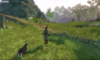 Fable II