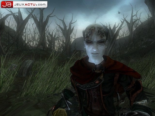 Fable 2004