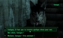 Fallout 3