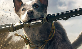 Far Cry 5 : le trailer de gameplay du mode coopératif diffusé à la PGW 2017