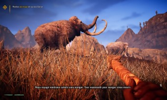 Far Cry Primal