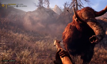 Far Cry Primal