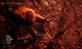 Far Cry Primal