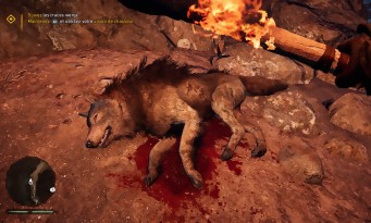 Far Cry Primal