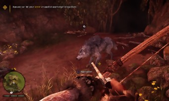 Far Cry Primal