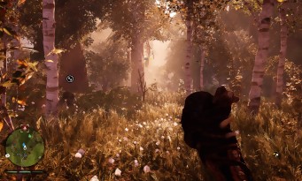 Far Cry Primal