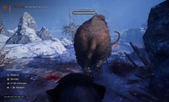 Far Cry Primal