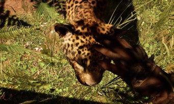 Far Cry Primal