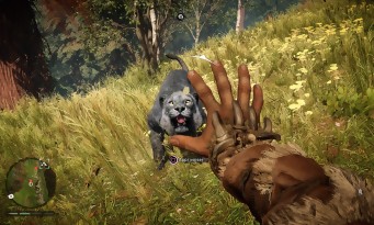 Far Cry Primal