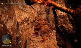 Far Cry Primal