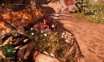 Far Cry Primal