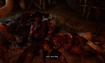 Far Cry Primal