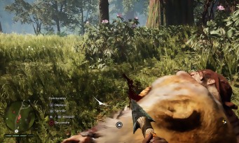 Far Cry Primal