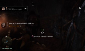 Far Cry Primal