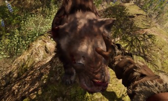 Far Cry Primal