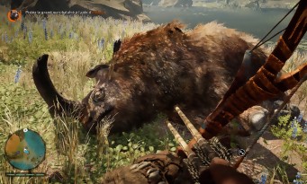 Far Cry Primal