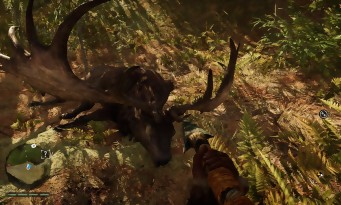 Far Cry Primal