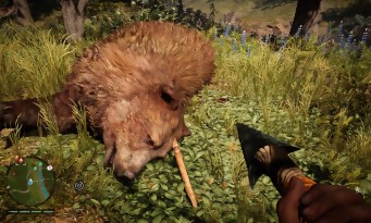 Far Cry Primal