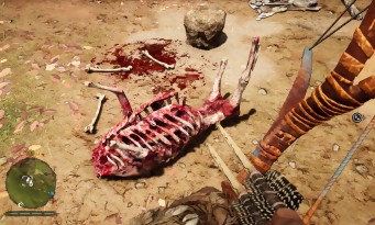 Far Cry Primal