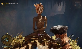 Far Cry Primal