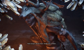 Far Cry Primal