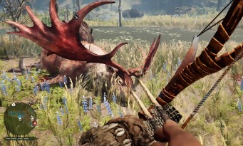 Far Cry Primal