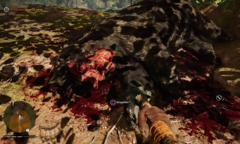 Far Cry Primal