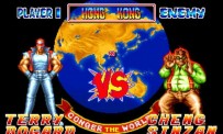 Fatal Fury 2