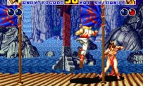 Fatal Fury 2