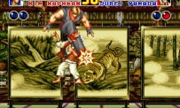 Fatal Fury 2
