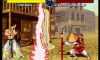 Fatal Fury : Battle Archives Volume 1