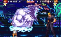Fatal Fury : Battle Archives Volume 2