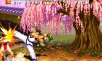 Fatal Fury : Battle Archives Volume 2