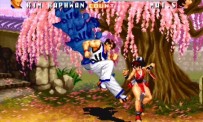 Fatal Fury : Battle Archives Volume 2