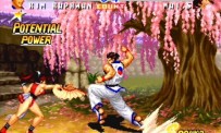 Fatal Fury : Battle Archives Volume 2