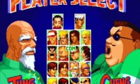 Fatal Fury : Battle Archives Volume 2