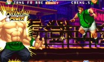 Fatal Fury : Battle Archives Volume 2