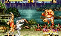 Fatal Fury Special