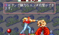 Fatal Fury Special