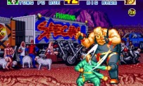 Fatal Fury Special