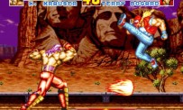 Fatal Fury Special