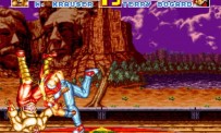 Fatal Fury Special