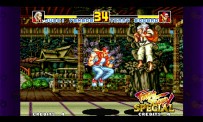 Fatal Fury Special