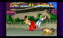 Fatal Fury Special