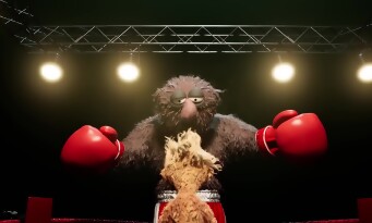 Felt That Boxing
