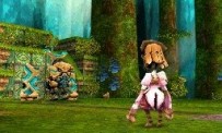 Final Fantasy Crystal Chronicles : Echoes of Time