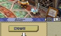 Final Fantasy Crystal Chronicles : Echoes of Time