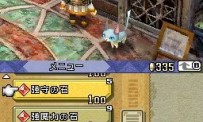 Final Fantasy Crystal Chronicles : Echoes of Time