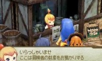 Final Fantasy Crystal Chronicles : Echoes of Time