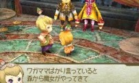 Final Fantasy Crystal Chronicles : Echoes of Time